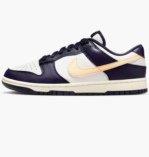 NIKE DUNK LOW RETRO FV8106-181 фото